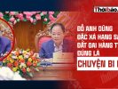 ĐỖ ANH DŨNG: ĐẶC XÁ HẠNG SANG, ĐẤT ĐAI HÀNG TỶ – ĐÚNG LÀ CHUYỆN BI HÀI.