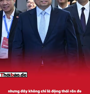 TÔ TỔNG ĐÁNH VÀO CỨ ĐIỂM CỦA CHÍNH