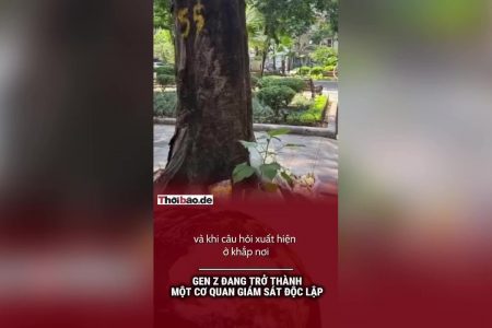 Gen Z đang trở thành một cơ quan giám sát độc lập